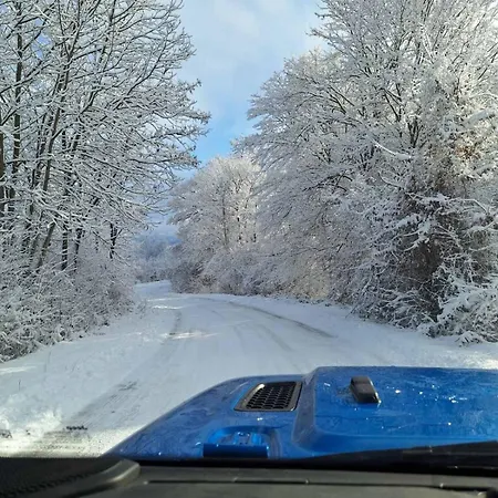 Case de vacanță Casa Tranquila Zlatibor *